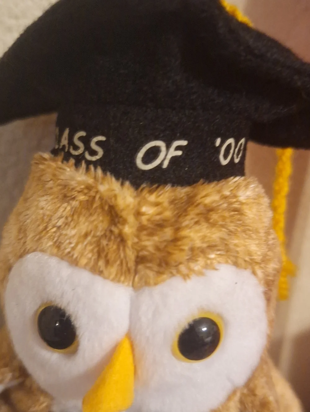 Graduation Owl Plush Toy - Brown & White - Ty Class Of 2000.